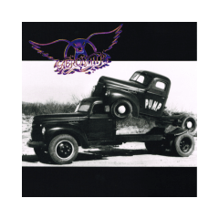 Aerosmith Pump vinilo