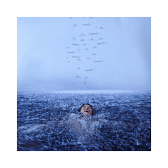 Shawn Mendes Wonder Vinilo