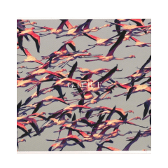 Deftones Gore CD