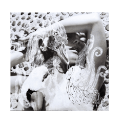 Bjork Vespertine Vinilo