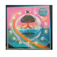 Bomba Estéreo, Rawayana Astropical Vinilo