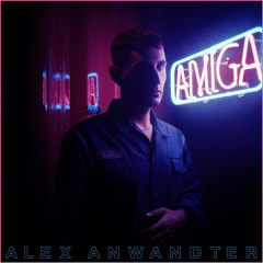 Alex Anwandter Amiga Nuevo Y Sellado Vinilo