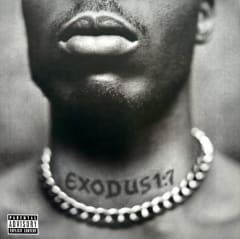 DMX Exodus Vinilo