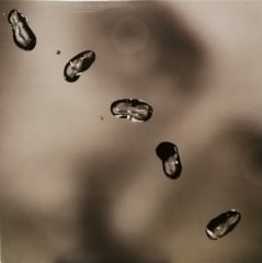 Peter Gabriel Up Vinilo