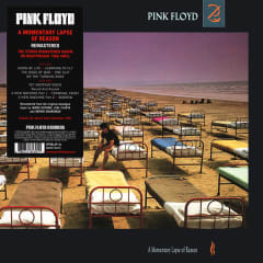 Pink Floyd A Momentary Lapse Of Reason Vinyl