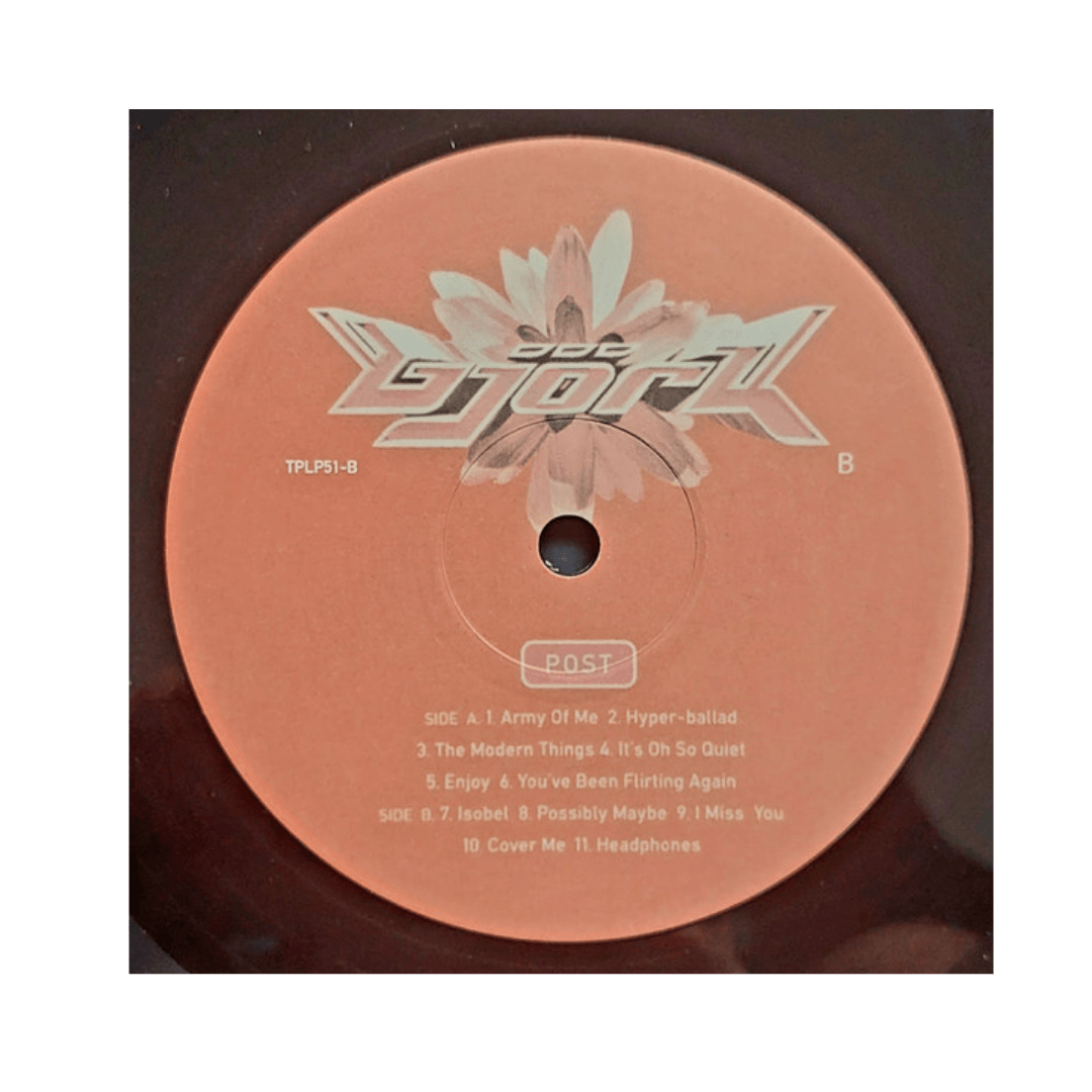 BJORK POST VINILO4