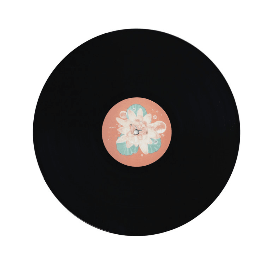 BJORK POST VINILO3