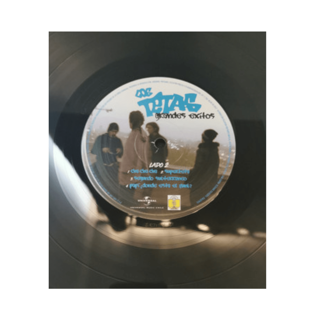 Los Tetas Grandes Exitos Vinilo4