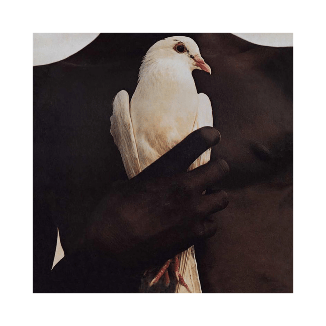 Santana Santana's Greatest Hits Vinilo1