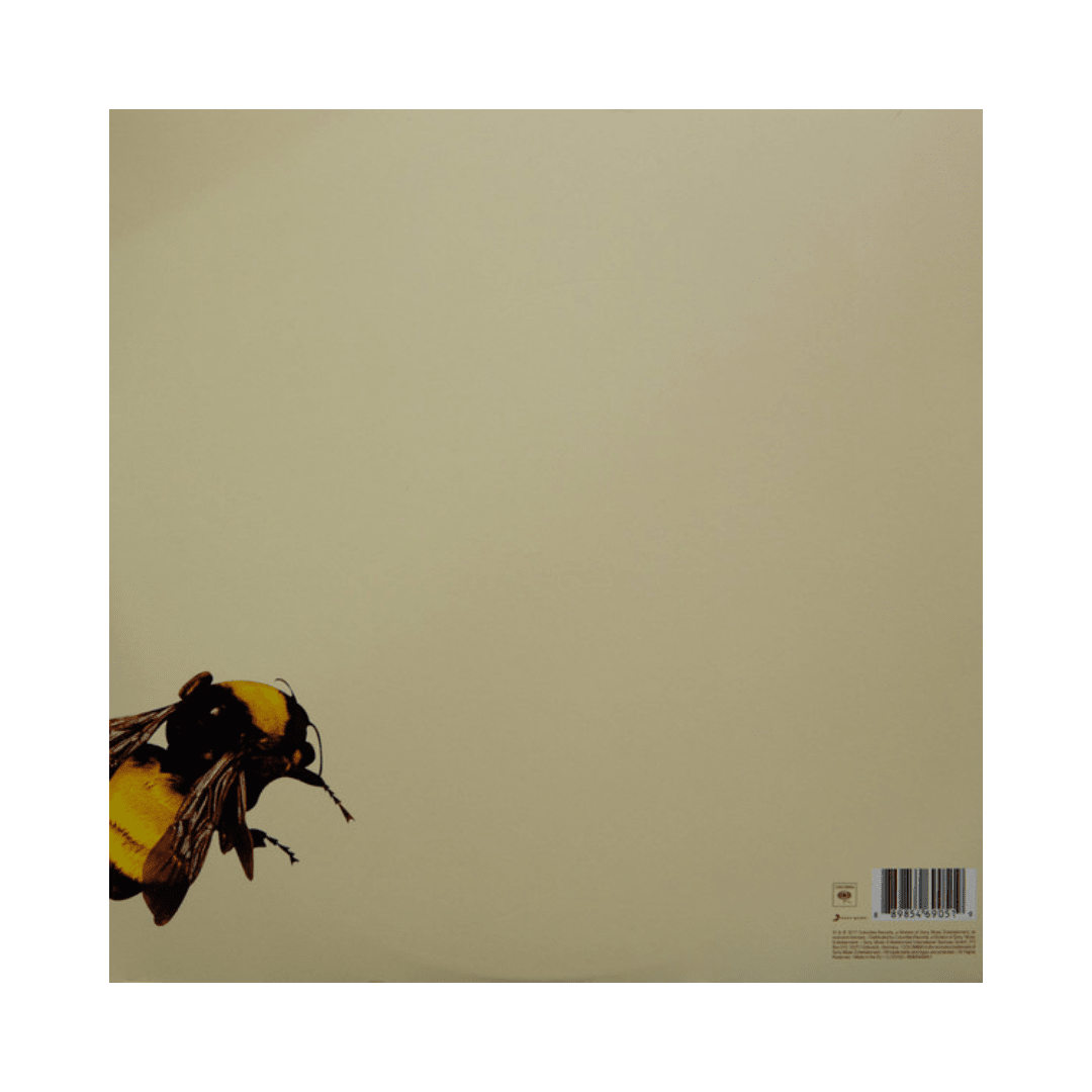 Vinilo Tyler The Creator Scum Fuck Flower Boy2