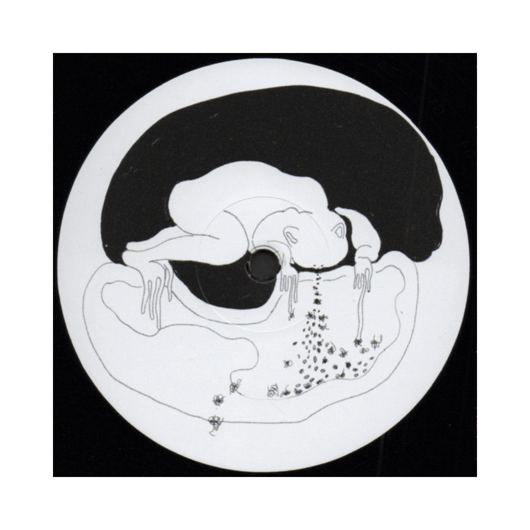 Björk Greatest Hits 2lp Vinilo4