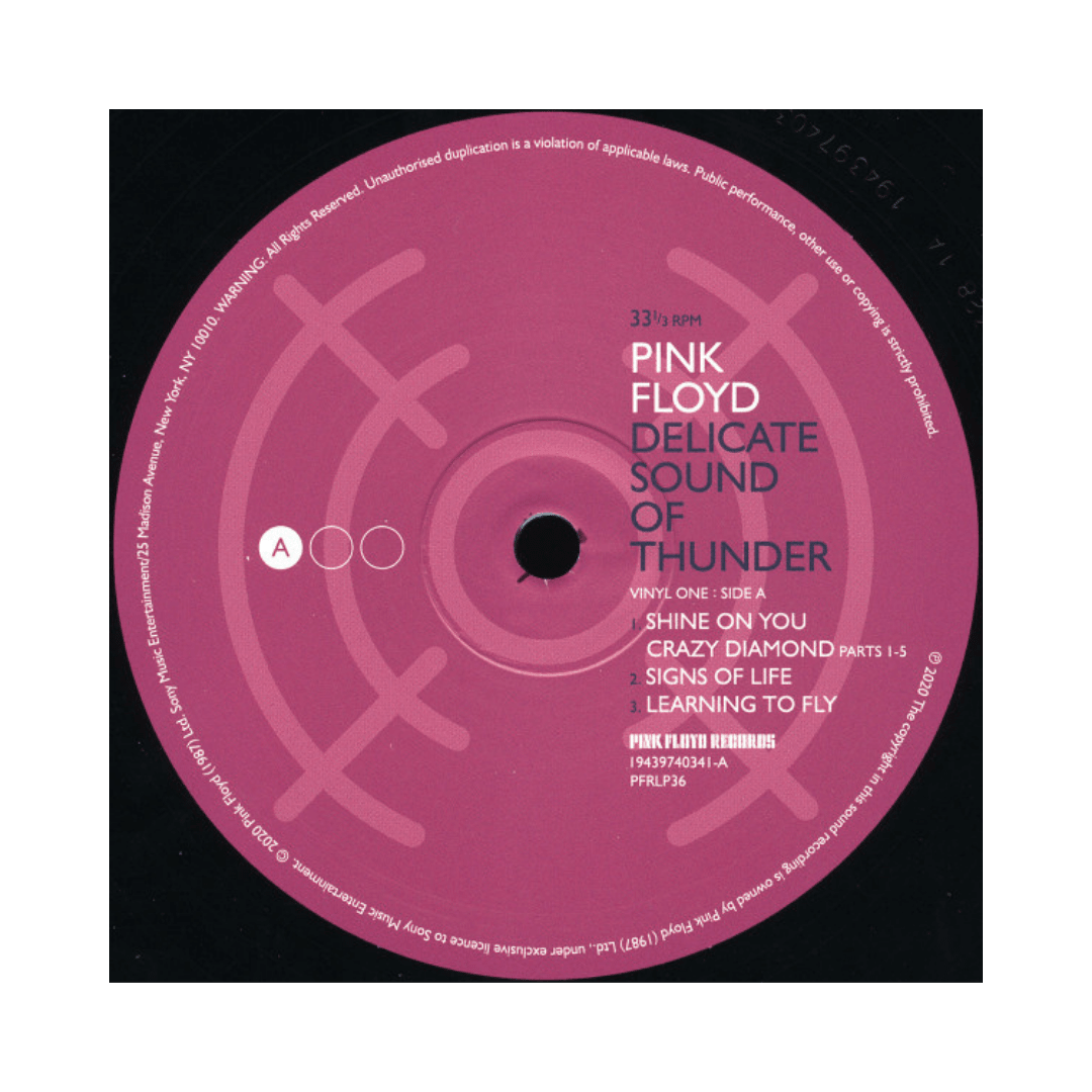 Vinilo Pink Floyd Delicate Sound Of Thunder8