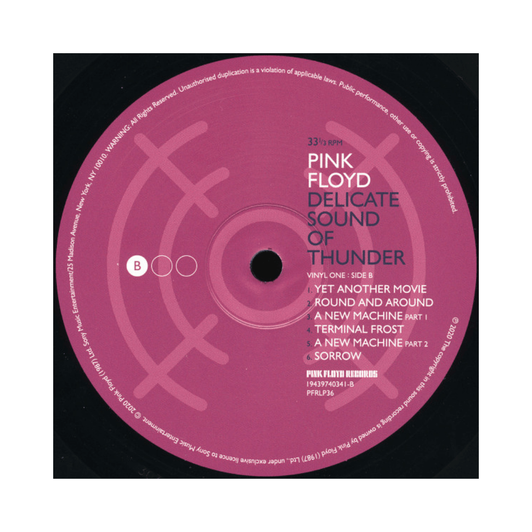 Pink Floyd Delicate Sound Of Thunder Vinilo7