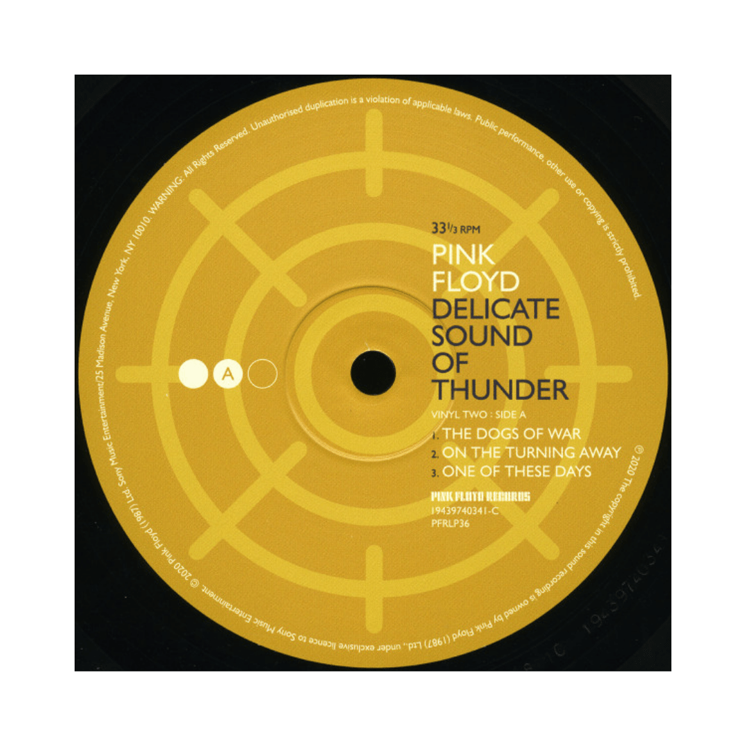 Pink Floyd Delicate Sound Of Thunder Vinilo6