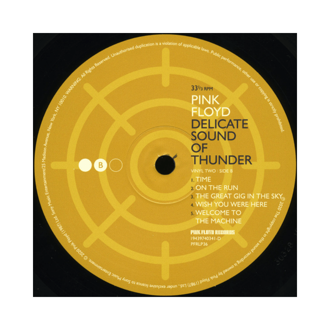 Vinilo Pink Floyd Delicate Sound Of Thunder5