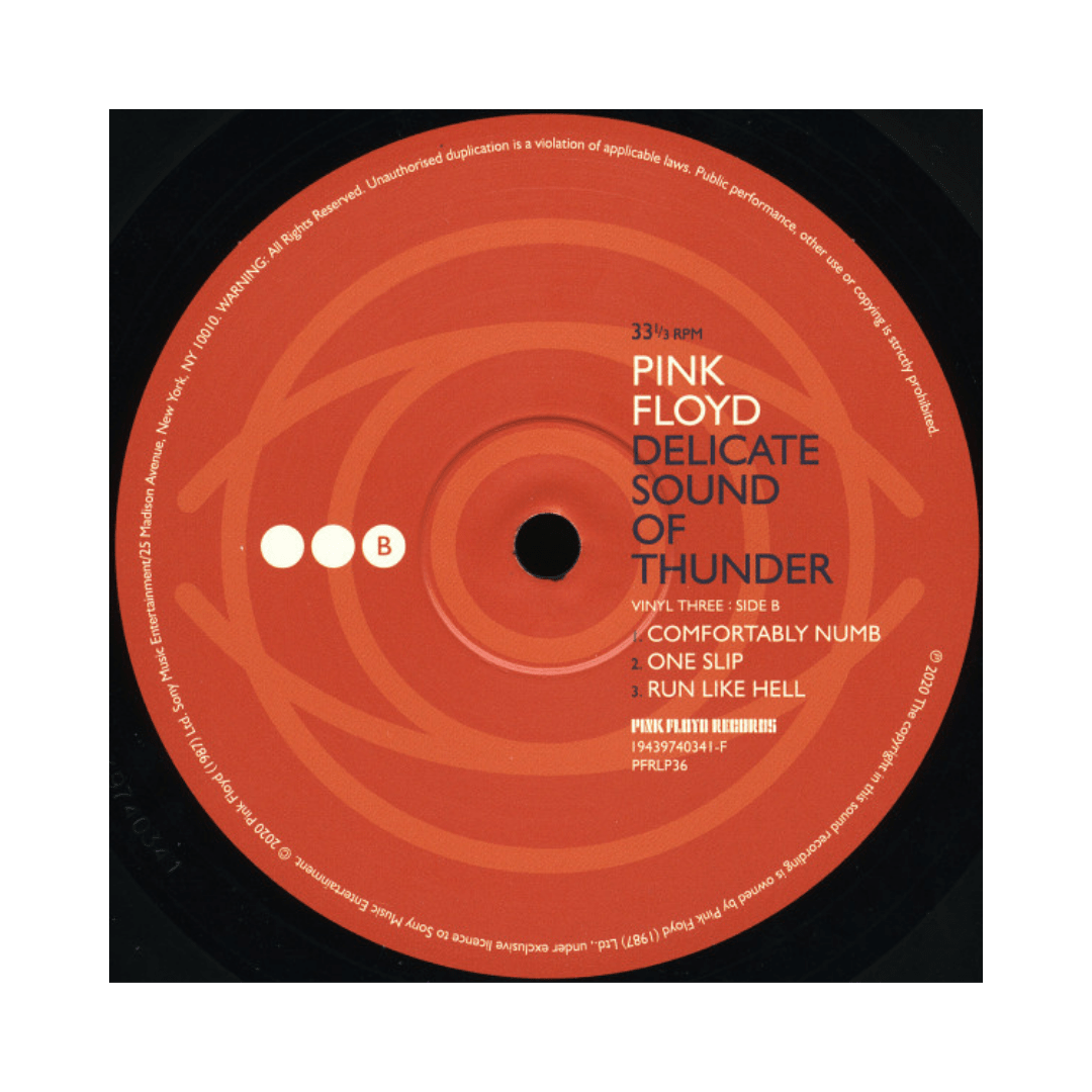 Vinilo Pink Floyd Delicate Sound Of Thunder3