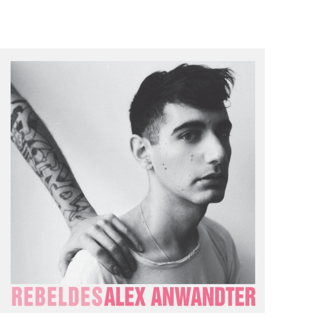 Alex Anwandter Rebeldes Vinilo1