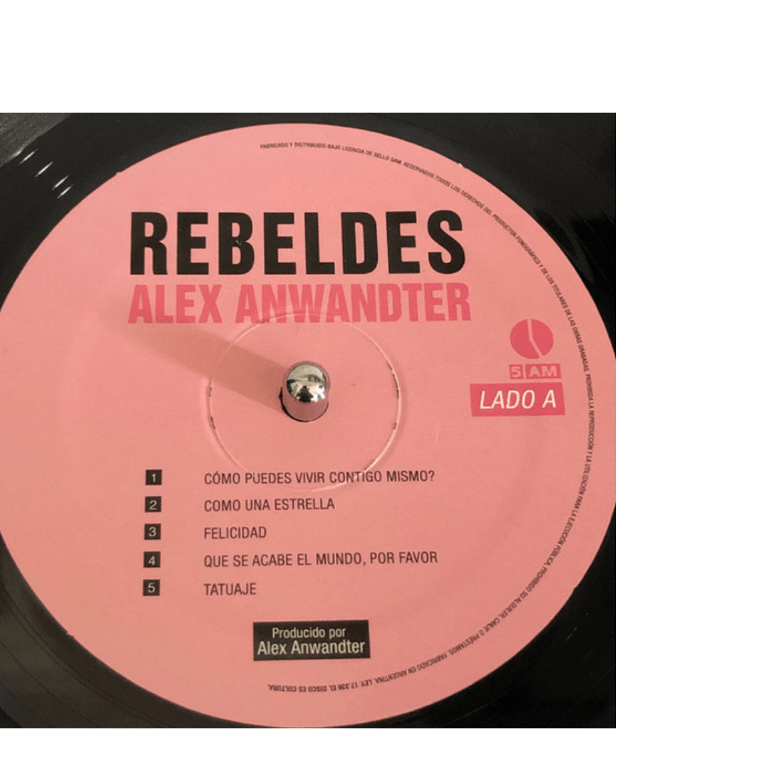 Alex Anwandter Rebeldes Vinilo3