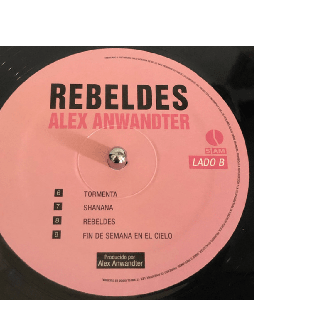 Alex Anwandter Rebeldes Vinilo4