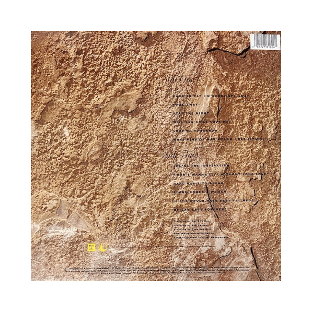 Chicago Greatest Hits 1982-1989 vinilo2