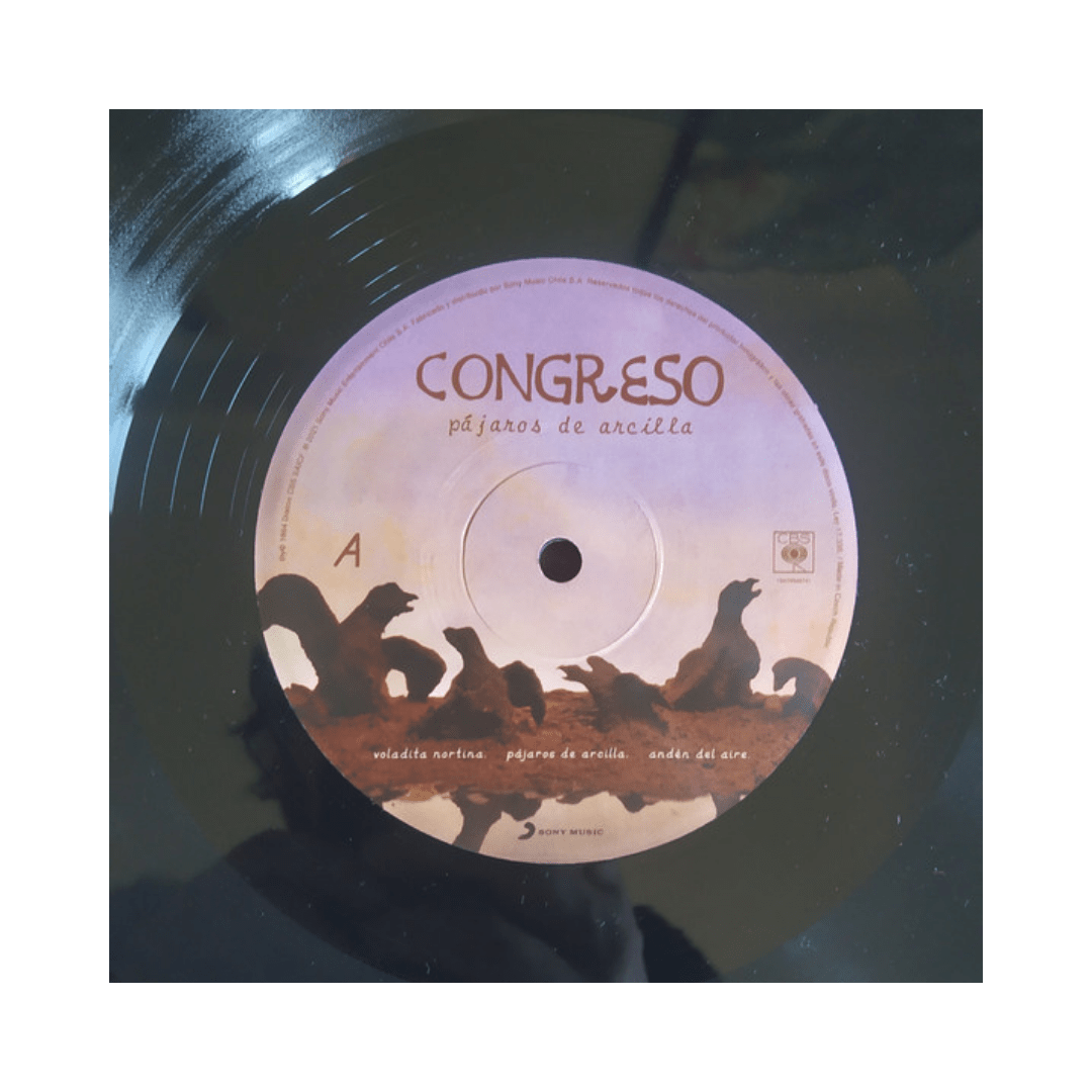 Congreso Pajaros De Arcilla Vinilo3