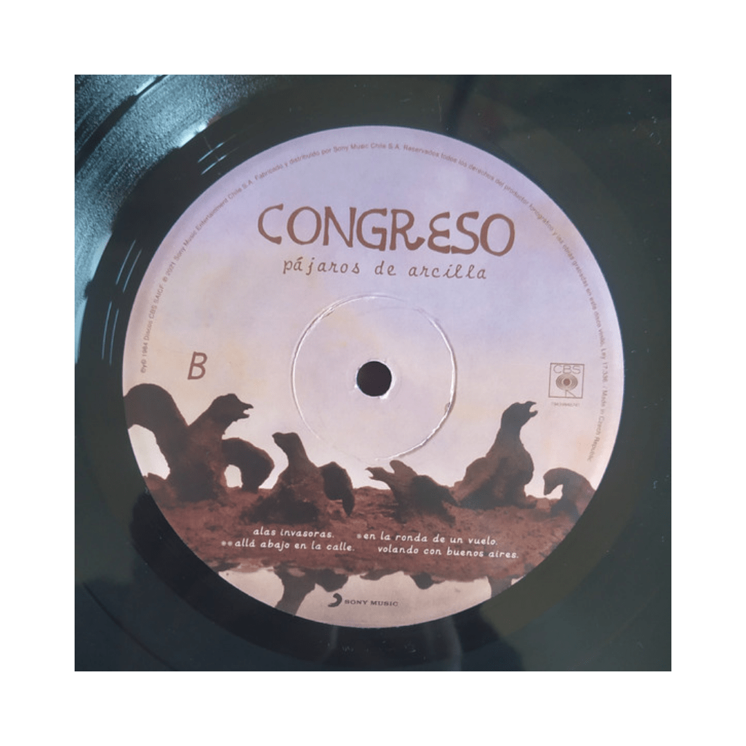 Congreso Pajaros De Arcilla Vinilo4