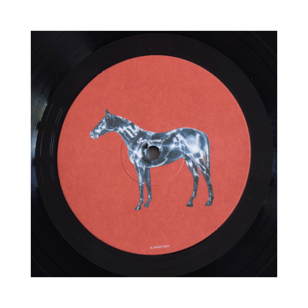 Beyoncé Renaissance Vinilo6