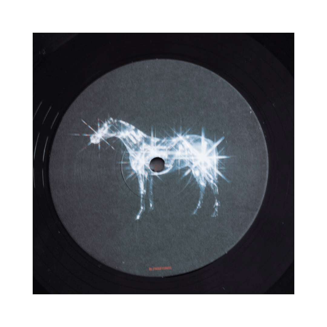 Beyoncé Renaissance Vinilo3