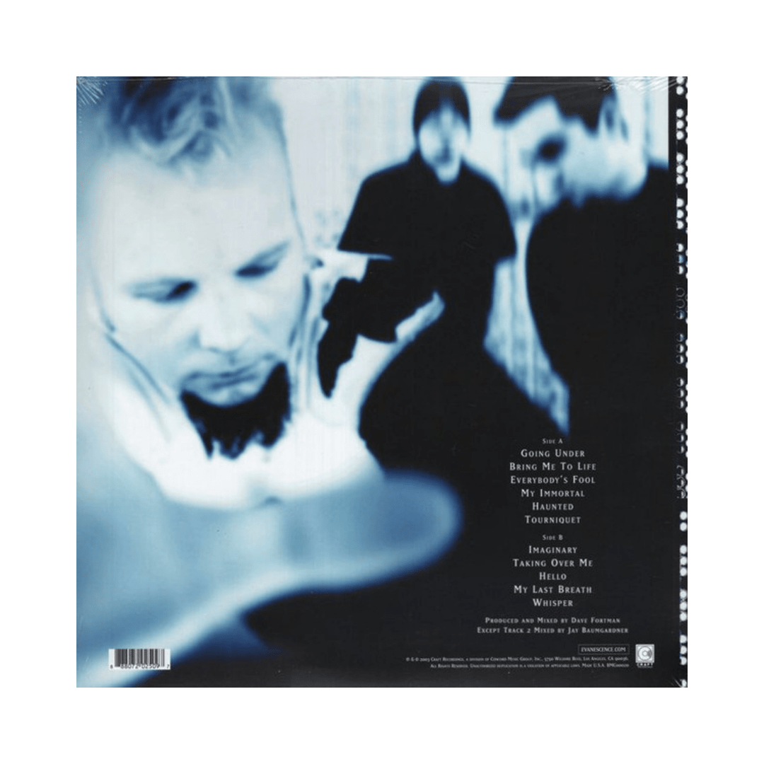 Evanescence Fallen Vinilo2