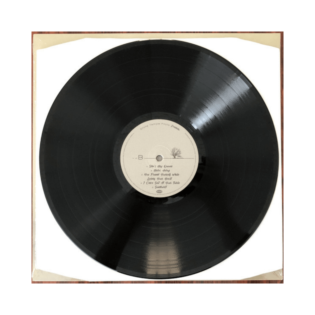 Stone Temple Pilots Perdida Vinilo4