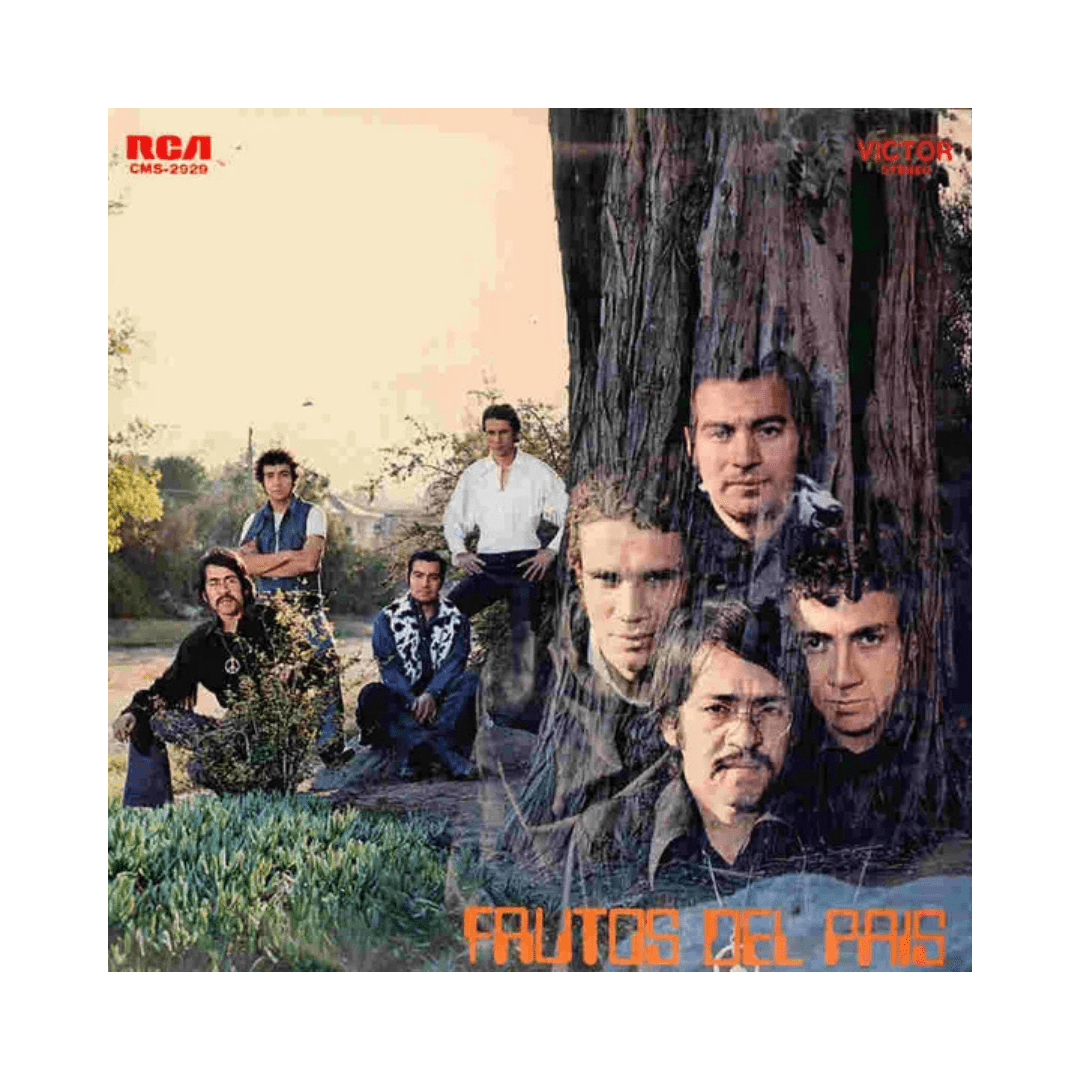 Frutos Del País Frutos Del País Vinilo1