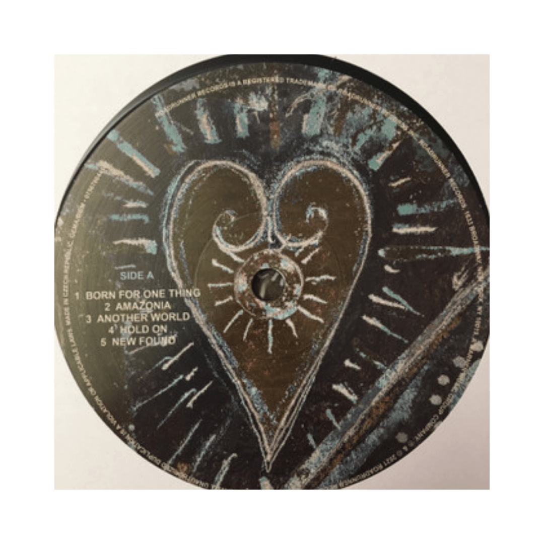 Gojira Fortitude Vinilo4