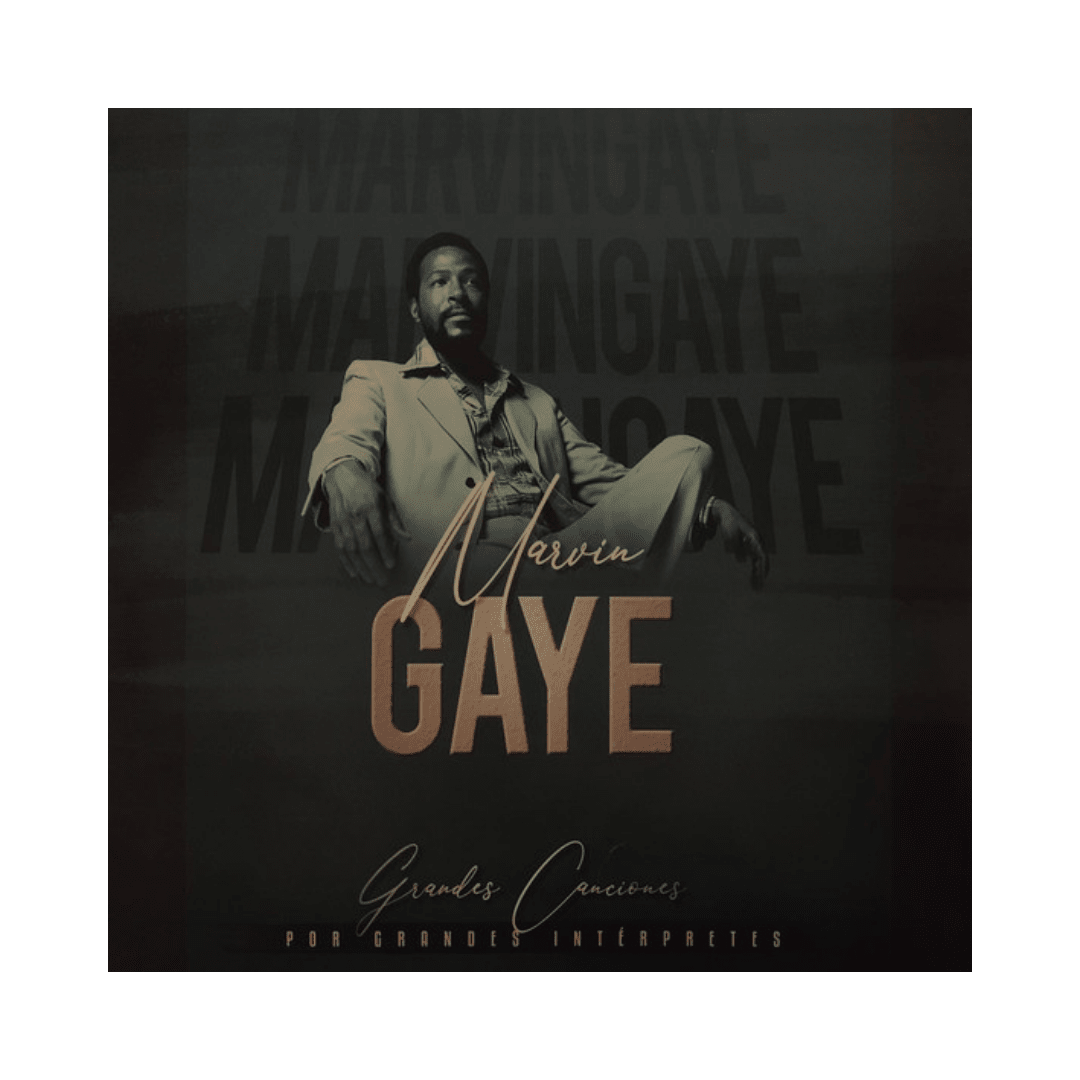 Marvin Gaye Grandes Canciones Vinilo1