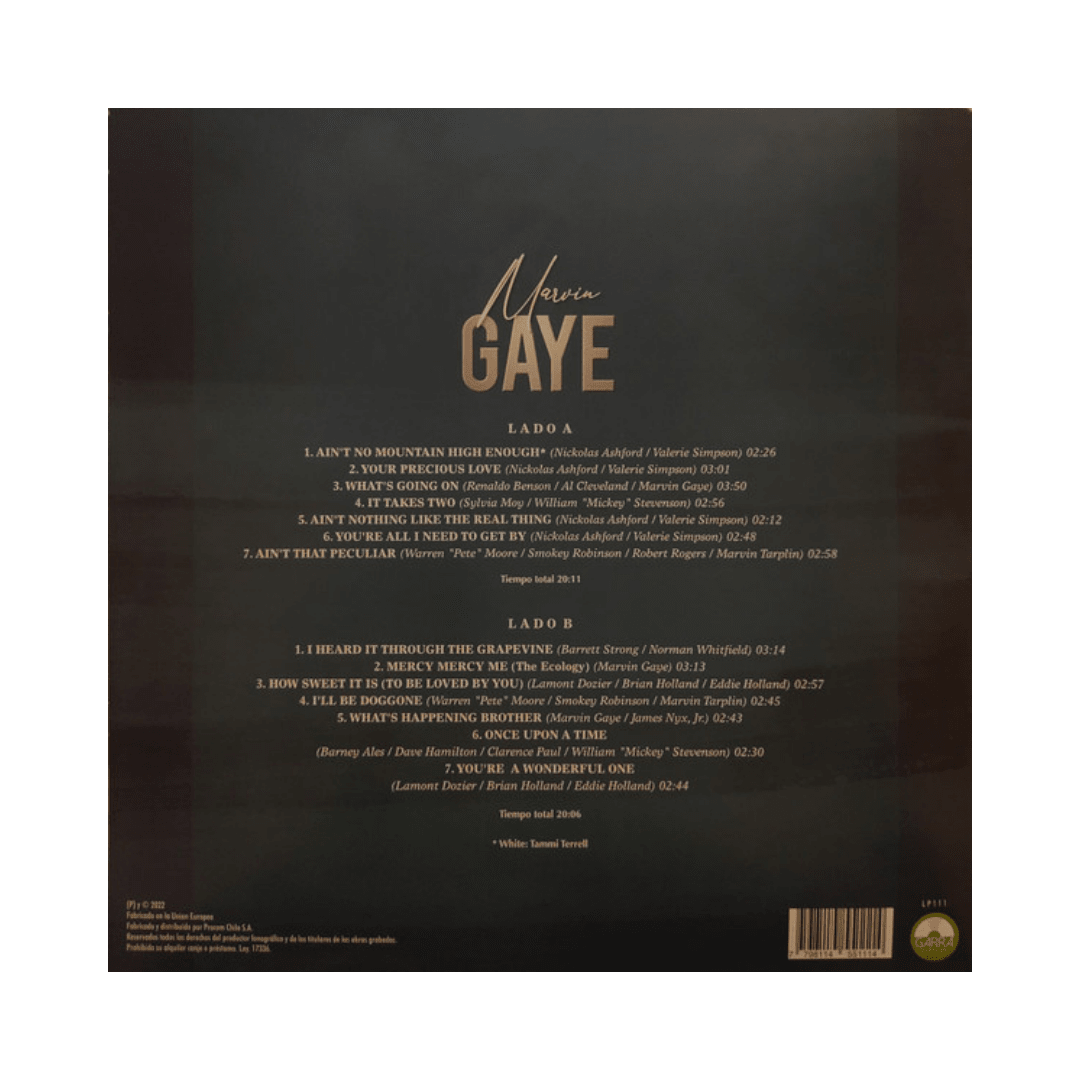 Marvin Gaye Grandes Canciones Vinilo2