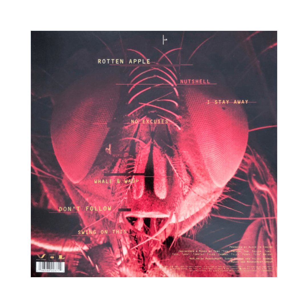 Alice In Chains Jar Of Flies / Sap vinilo2