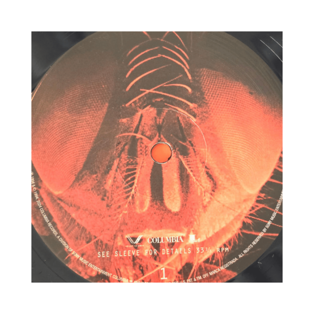 Alice In Chains Jar Of Flies / Sap vinilo4