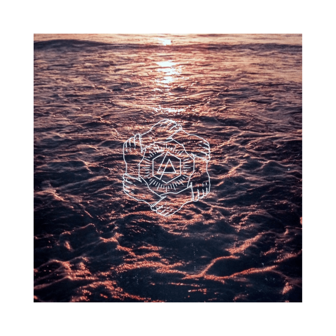 Linkin Park One More Light Vinilo5