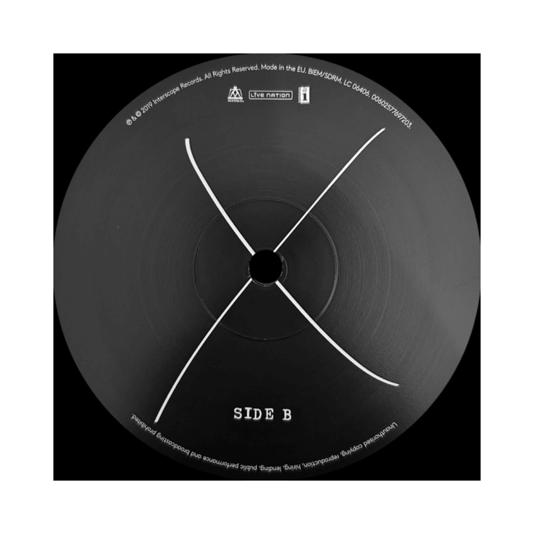 Madonna Madame X Vinilo4