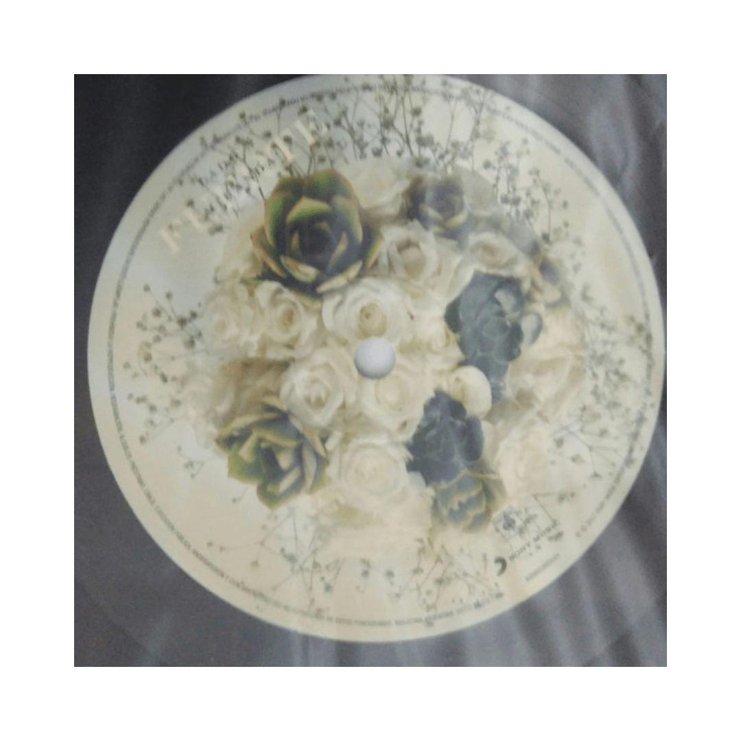 Miranda! Fuerte vinilo4