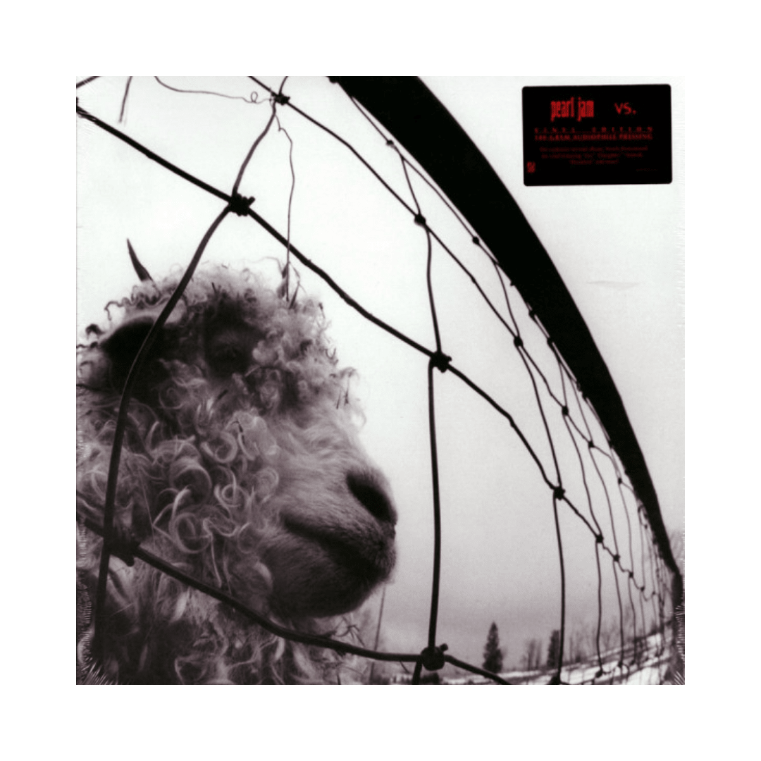 Pearl Jam Vs. Vinilo1