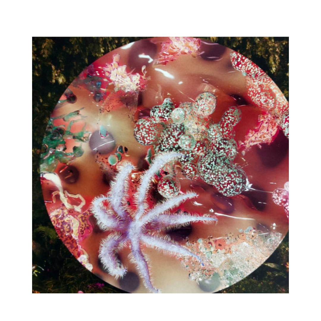 Melanie Martinez Portals Cd4