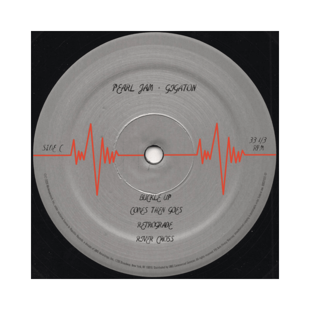 Pearl Jam Gigaton Doble Vinilo5