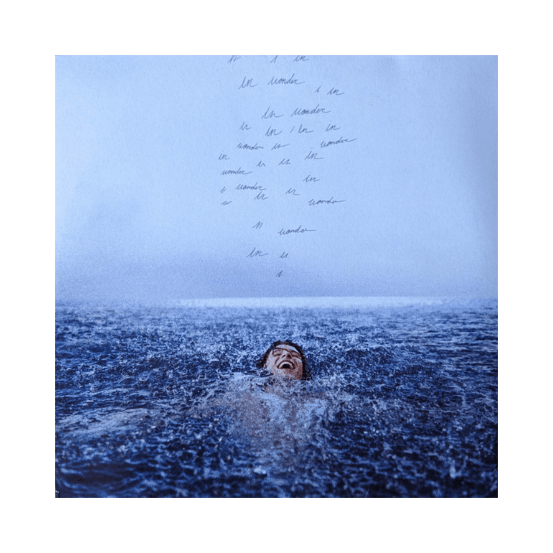 Shawn Mendes Wonder Vinilo1