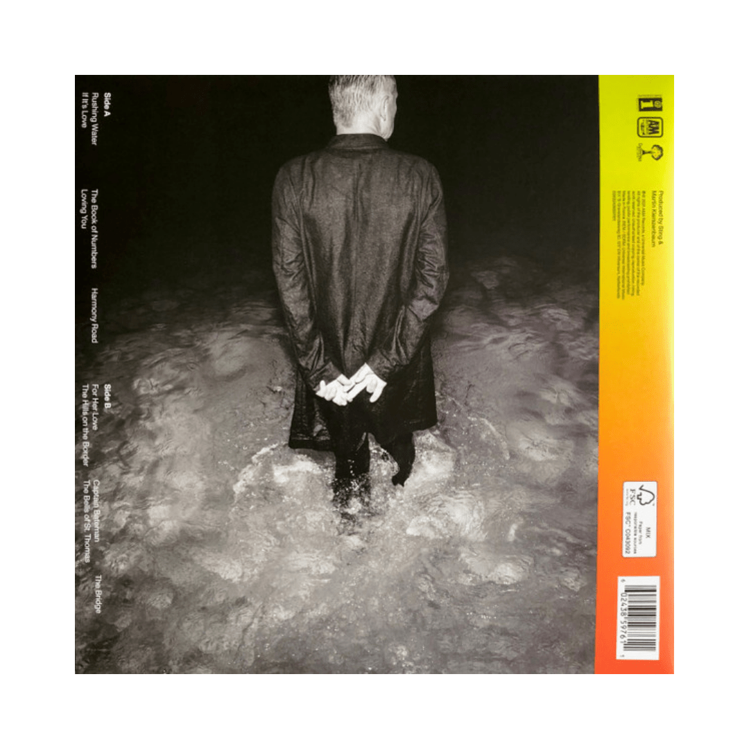 Sting The Bridge Vinilo2