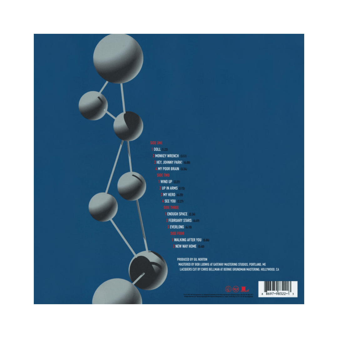 Foo Fighters The Colour And The Shape Vinilo2