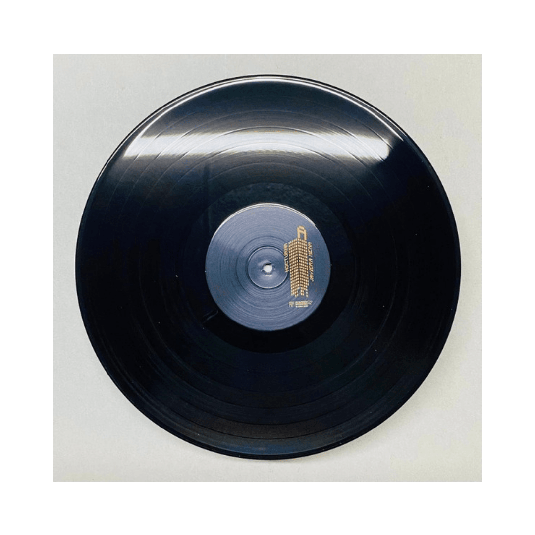 Javiera Mena Nocturna Vinilo3