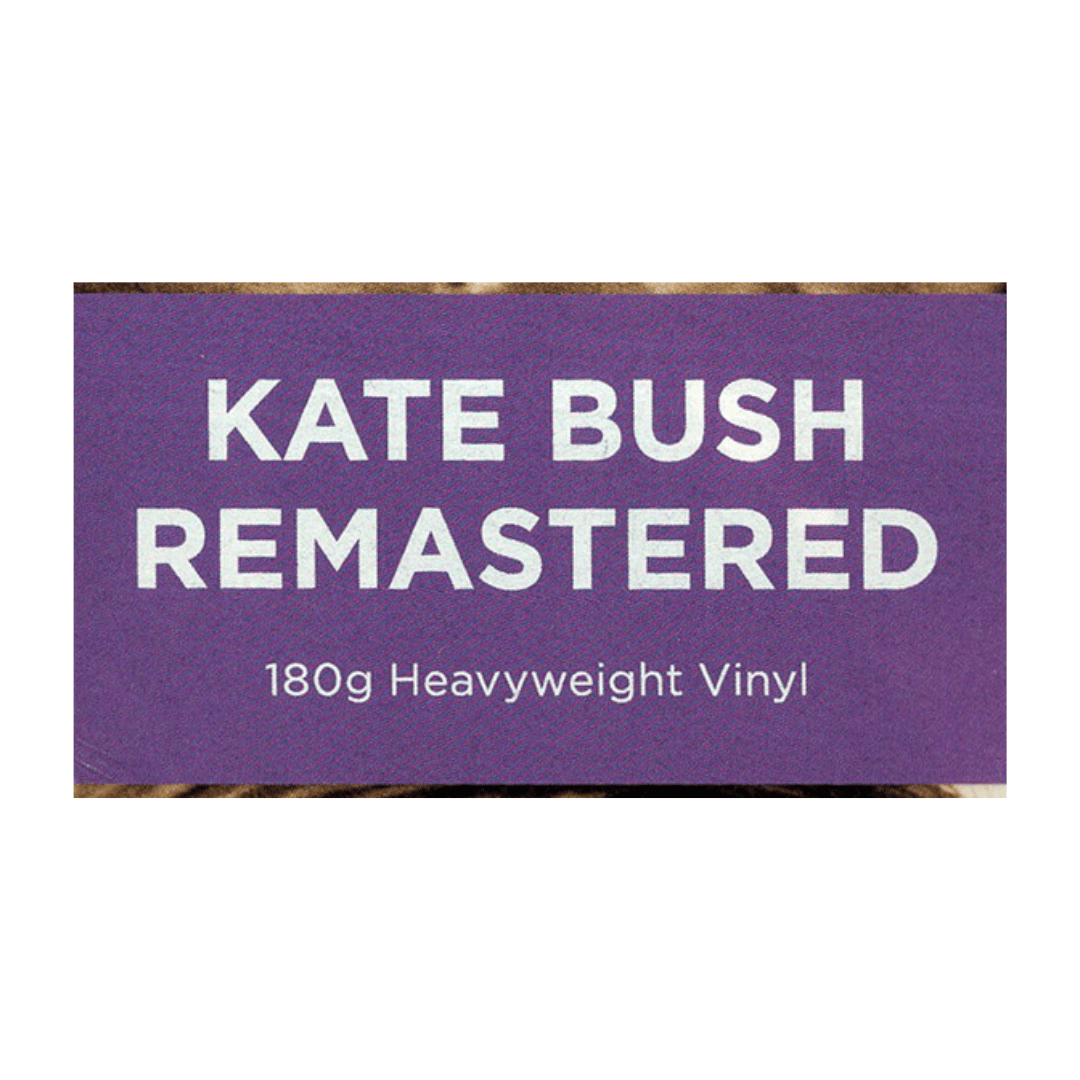 Kate Bush The Dreaming Vinilo2
