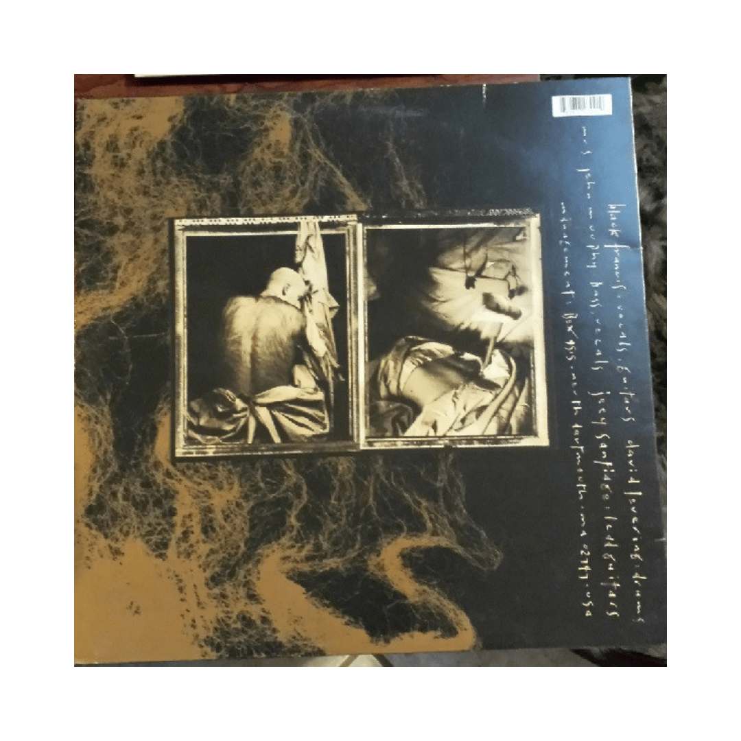 Pixies Come On Pilgrim Vinilo2