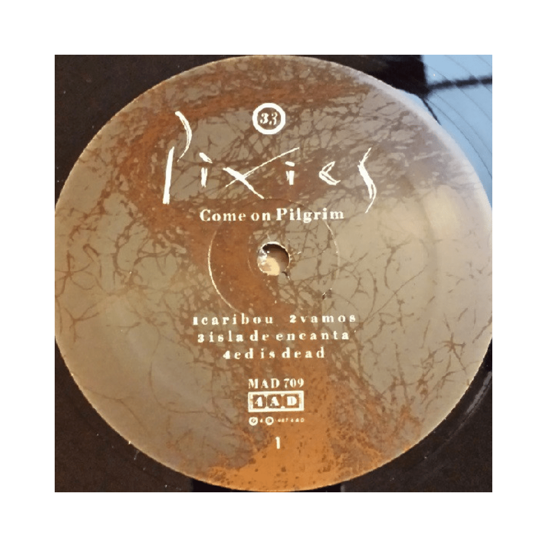 Pixies Come On Pilgrim Vinilo3