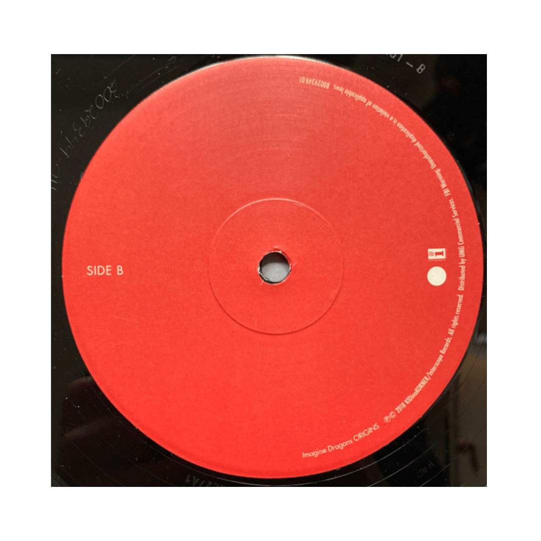Imagine Dragons Origins Vinilo4